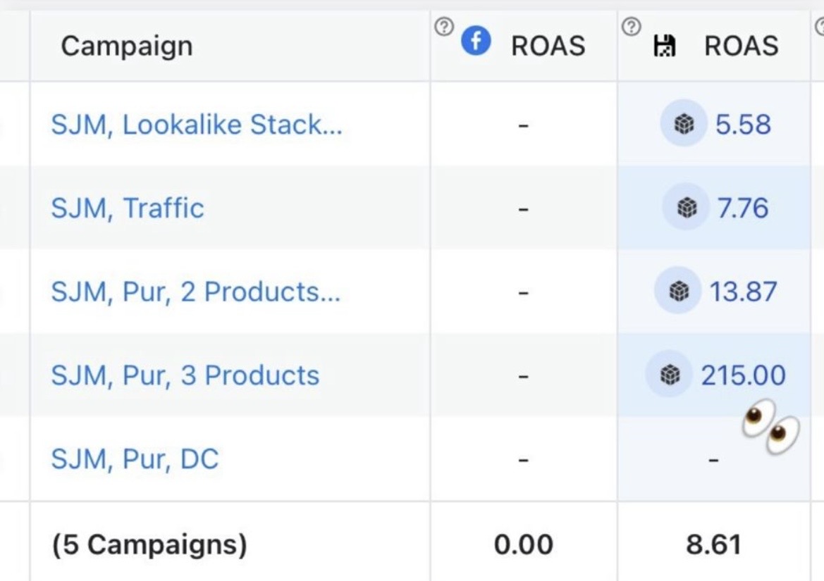 Campaign table showing 8.61 blended ROAS across five campaigns