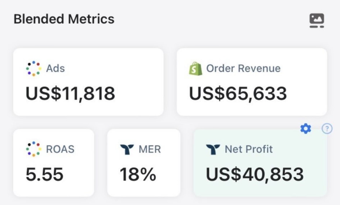 Blended metrics: $65,633 revenue, 5.55 ROAS, $40,853 net profit